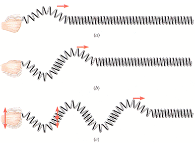 1434_Find the distance between two adjacent crests.png